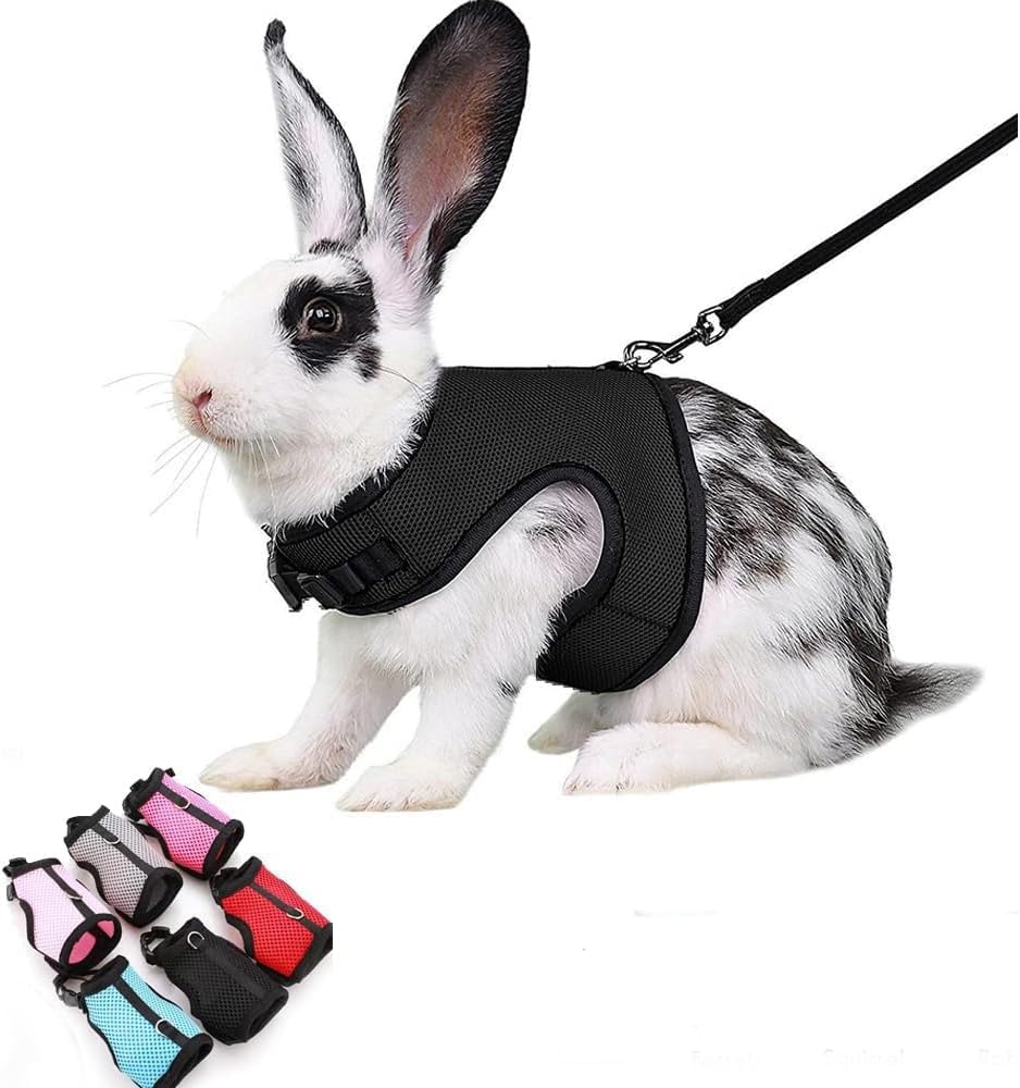 Escape Proof Rabbit Harness and Leash Set