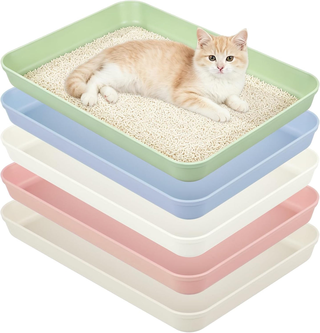 5 Pcs Medium Open Cat Litter Box for Kitten Bunnies Small Animals