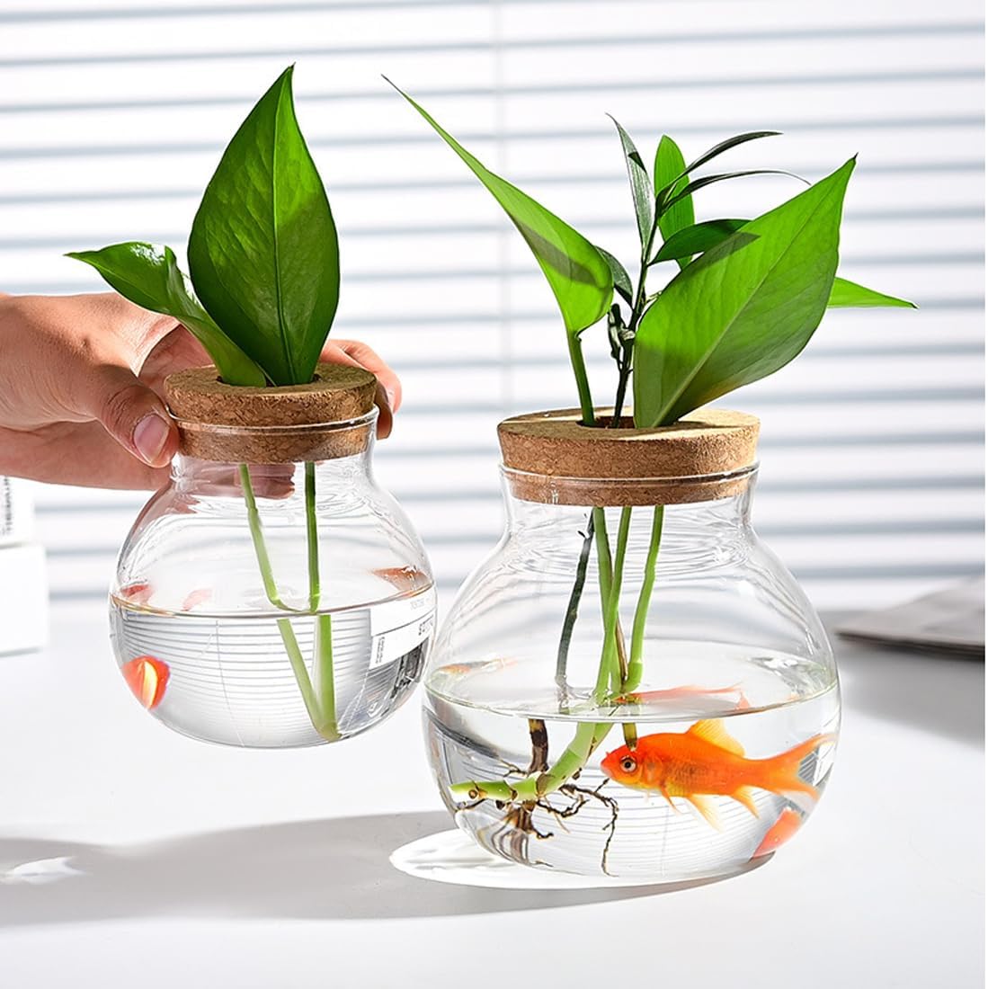 Small Fish Bowl, Cute Betta Tank, High Clear Fish Glass Bowl