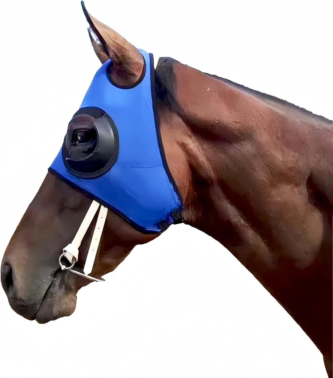 Adjustable Horse Fly Masks - Focus Aid for Racing & Training,Super
