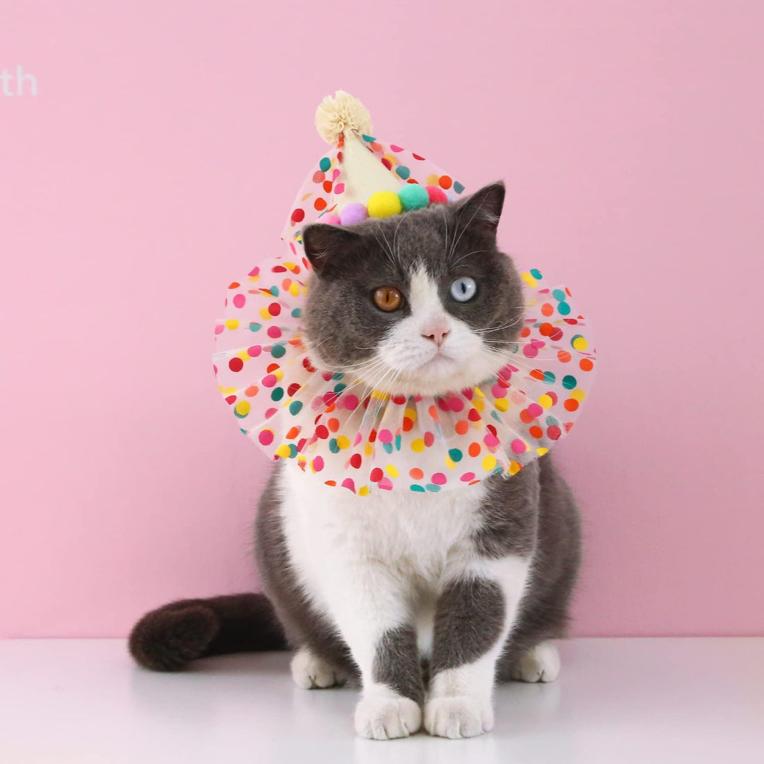 Cat Dog Princess Costumes Puppy Cat Birthday Bandana Scarf and Party