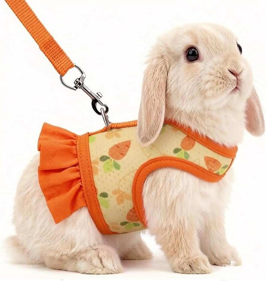 Guinea Pig Harness & Leash Set
