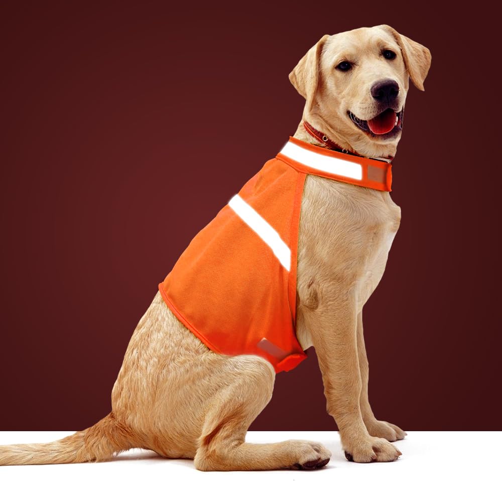Dog Jacket High Visibility Safety Reflective Dog Vest for Small