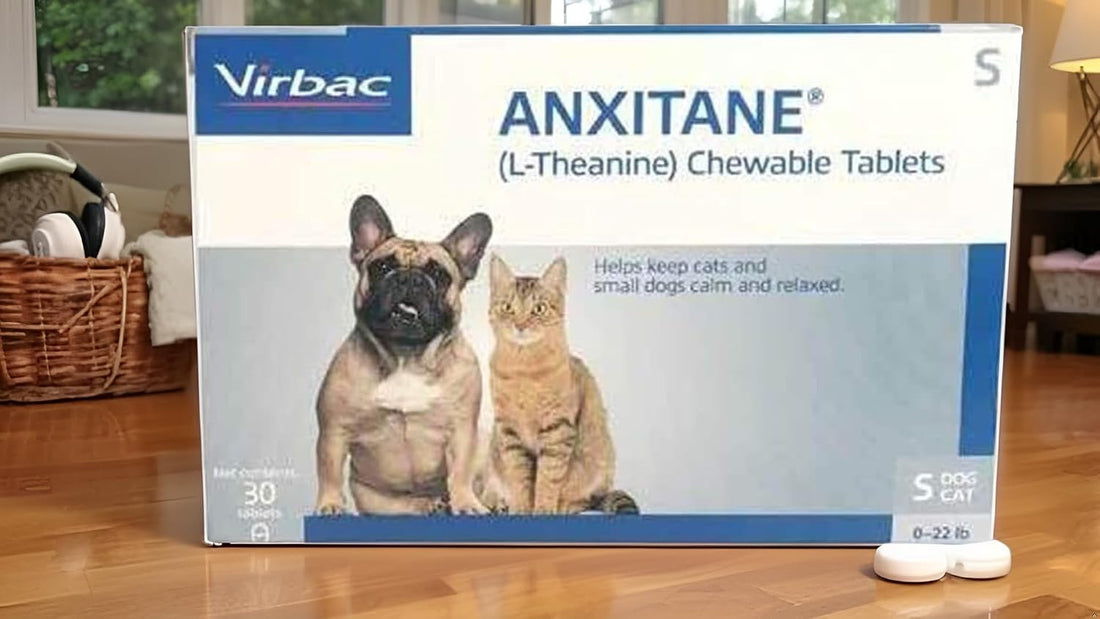 ANXITANE Chewable Tablet- Calming Tablet for Anxious Behavior