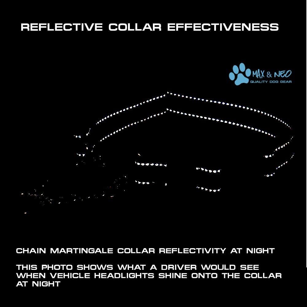 Max and Neo Stainless Steel Chain Martingale Collar