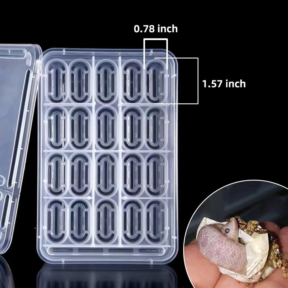 20 Grids Reptile Breeding Box