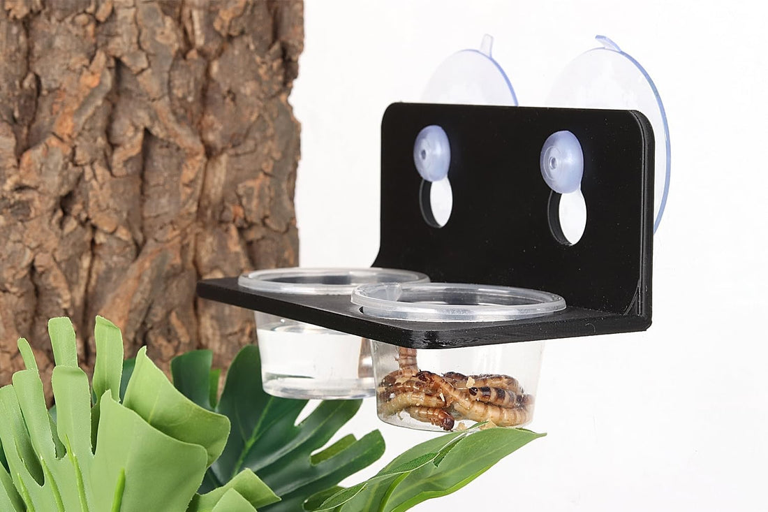 Crested Gecko Feeding Ledge with 10PCS Reptile Food Cups