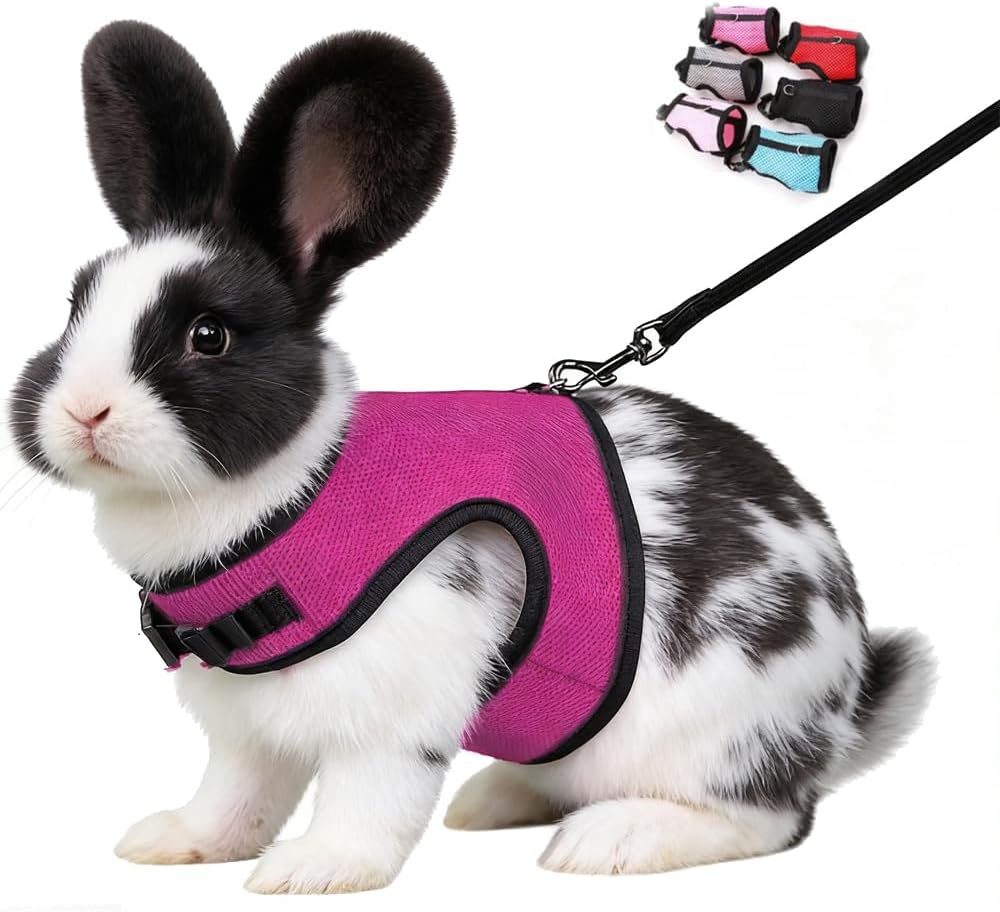 Bunny Leash and Harness Escape Proof Soft Rabbit Harnesses Mesh Vest