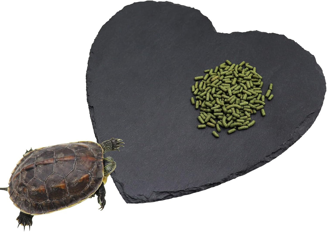 Reptile Basking Platform, 7.9 × 7.9 inch Tortoise Rock Plate