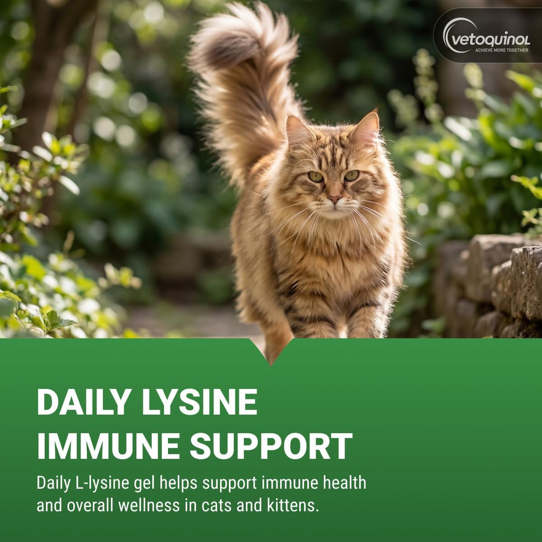 Vetoquinol Viralys Daily L-Lysine Gel for Cats and Kittens