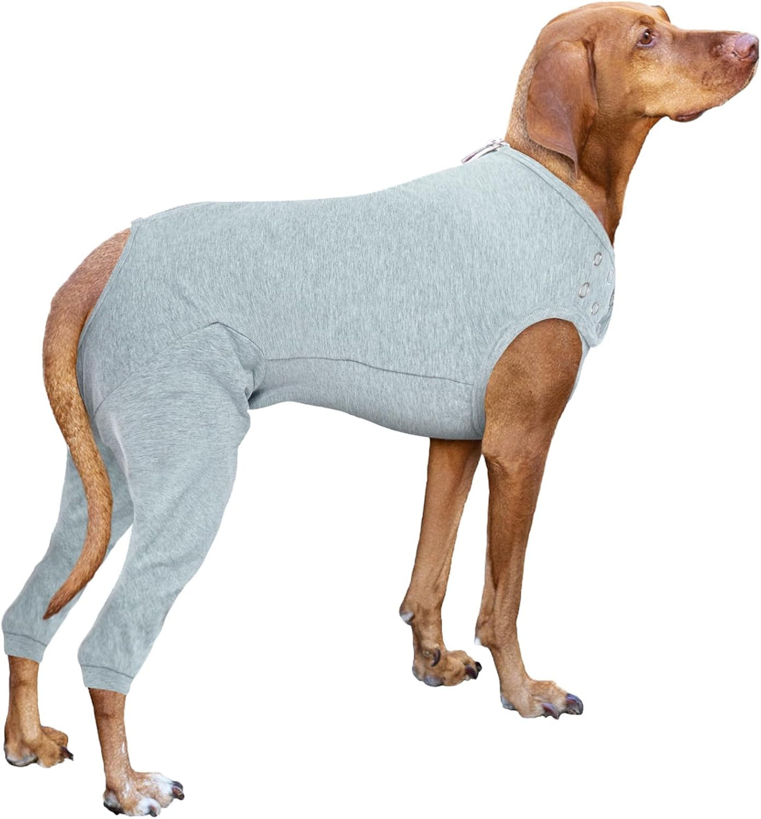 Nanaki Dog Wound Care Shirt,Dog Leg Sleeve to Stop Licking Rear