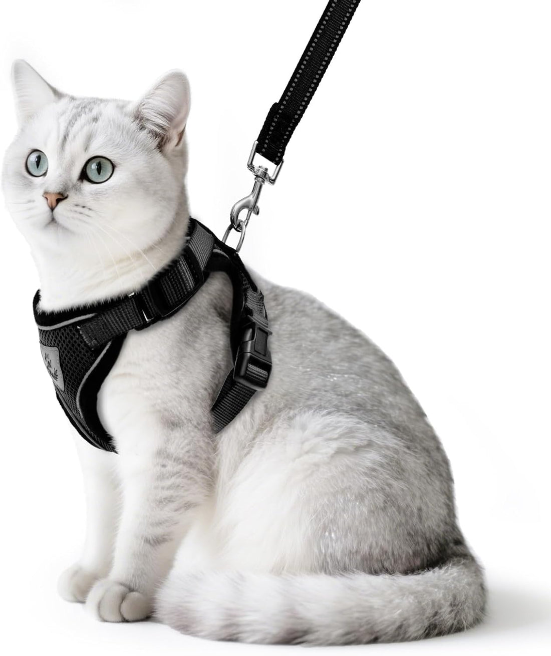 PUPTECK Halloween Cat Harness and Leash Set Escape Proof Reflective