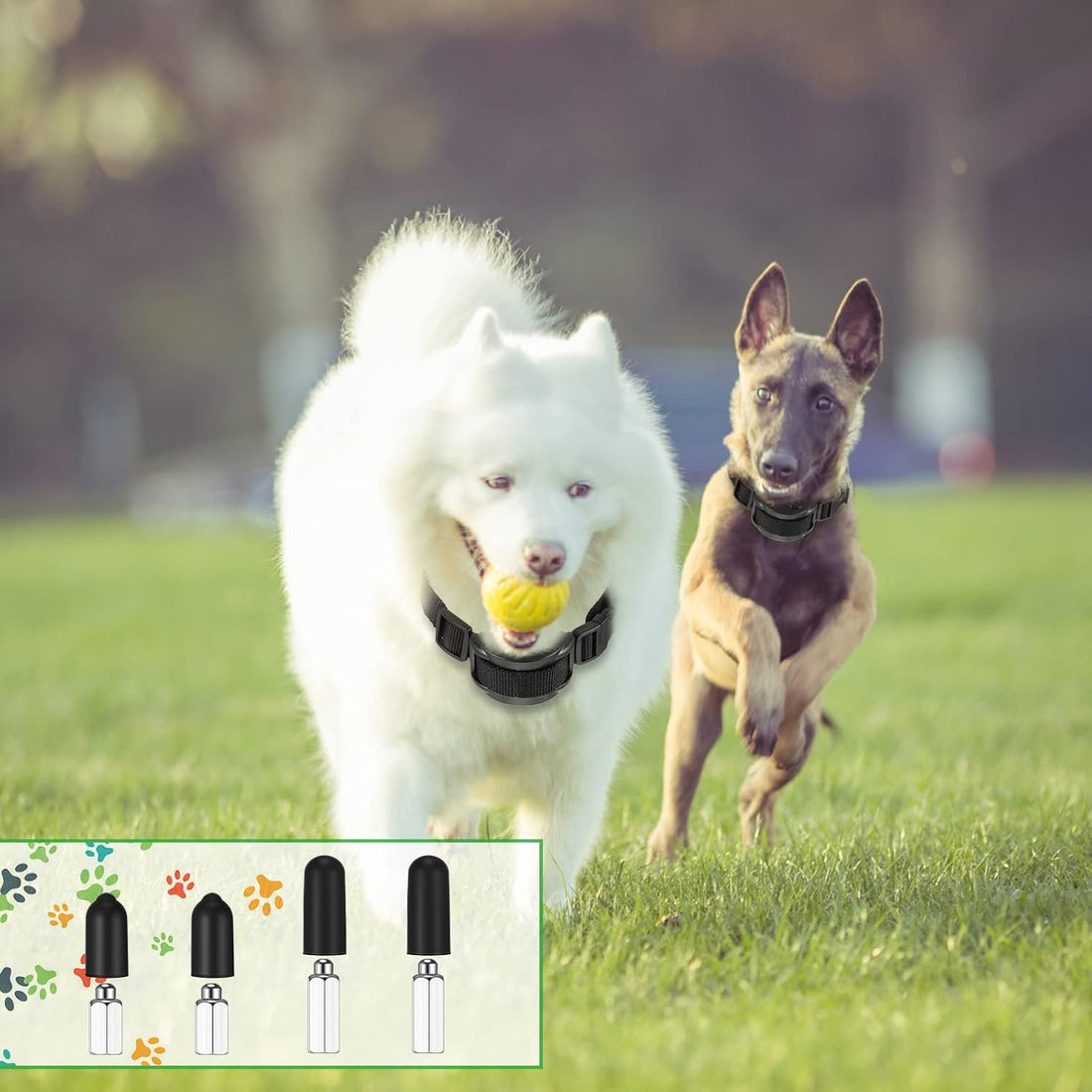 Zhengmy 24 Pcs Dog Shock Collar Rubber Tips