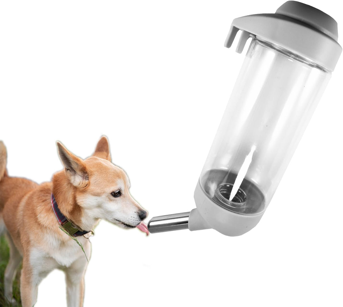 Dog Crate Water Bottle Dispenser