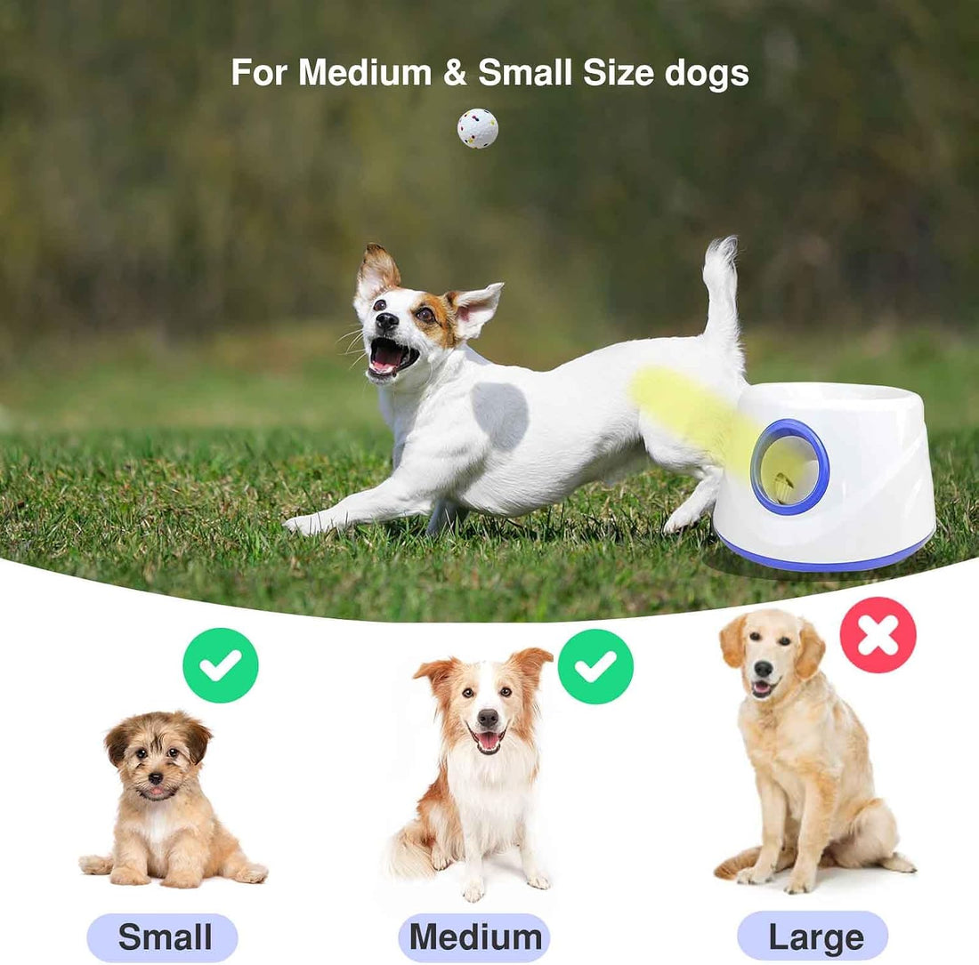 Automatic Dog Ball Launcher, with 6 2.3" ETPU Balls