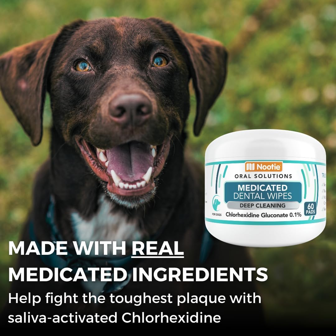 Nootie Medicated Dental for Dogs with Chlorhexidine