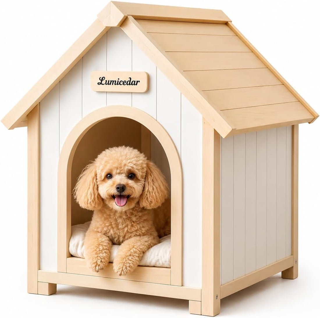 Modern Indoor Dog House for Small Dogs