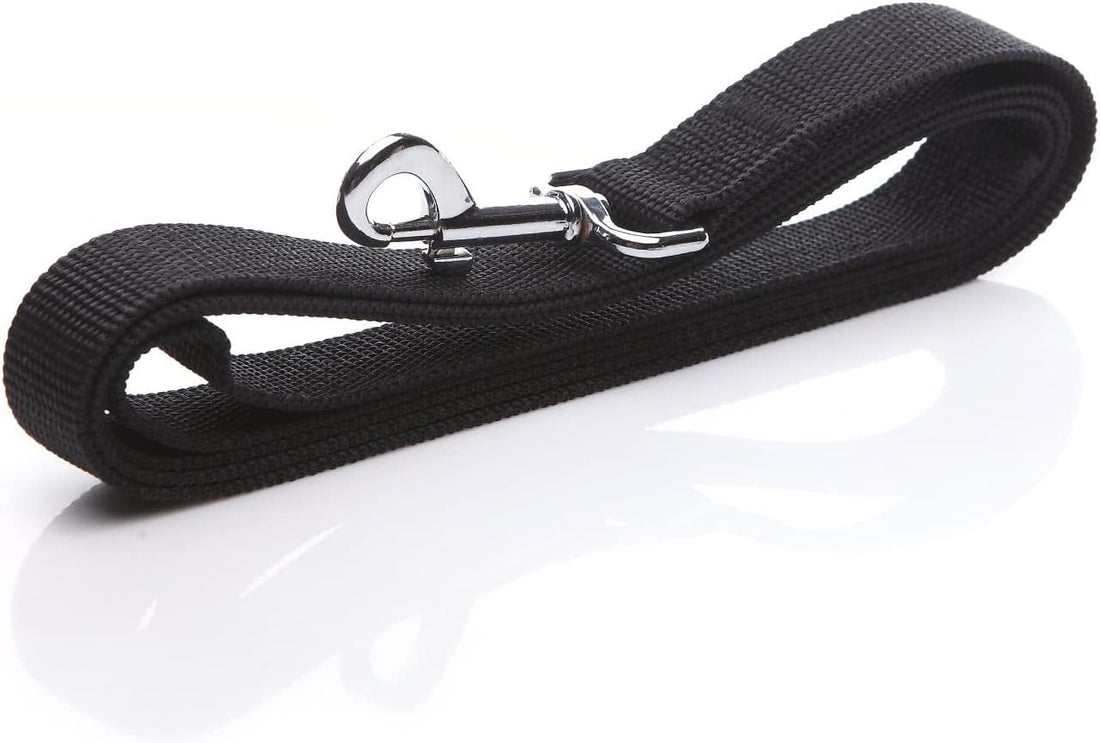 Nylon Dog Leash 8 Feet Long, Walking Training Dog Leashes for Medium