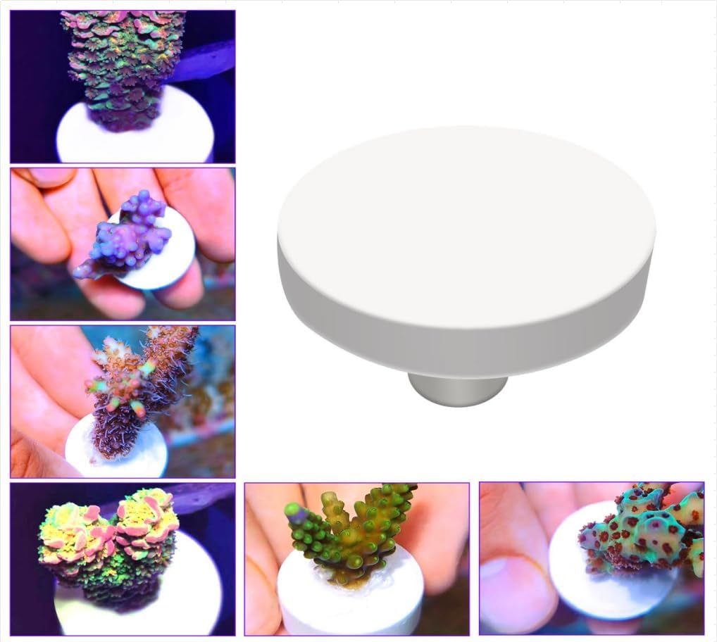 Aquarium Choice Ceramic Coralline Coral Frag Plugs 60 Pack