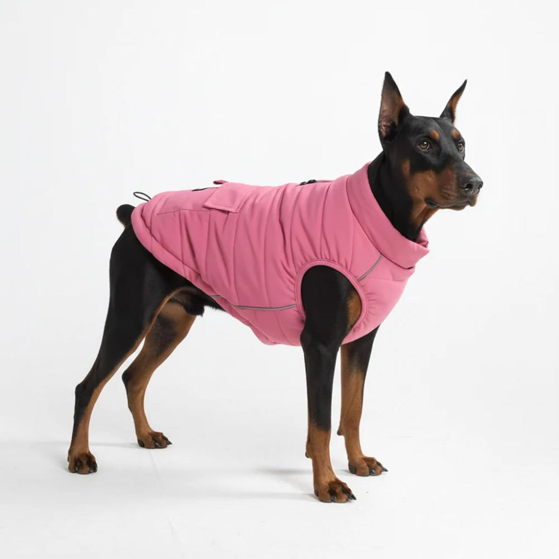 Spark Paws Dog Winter Coat Jacket