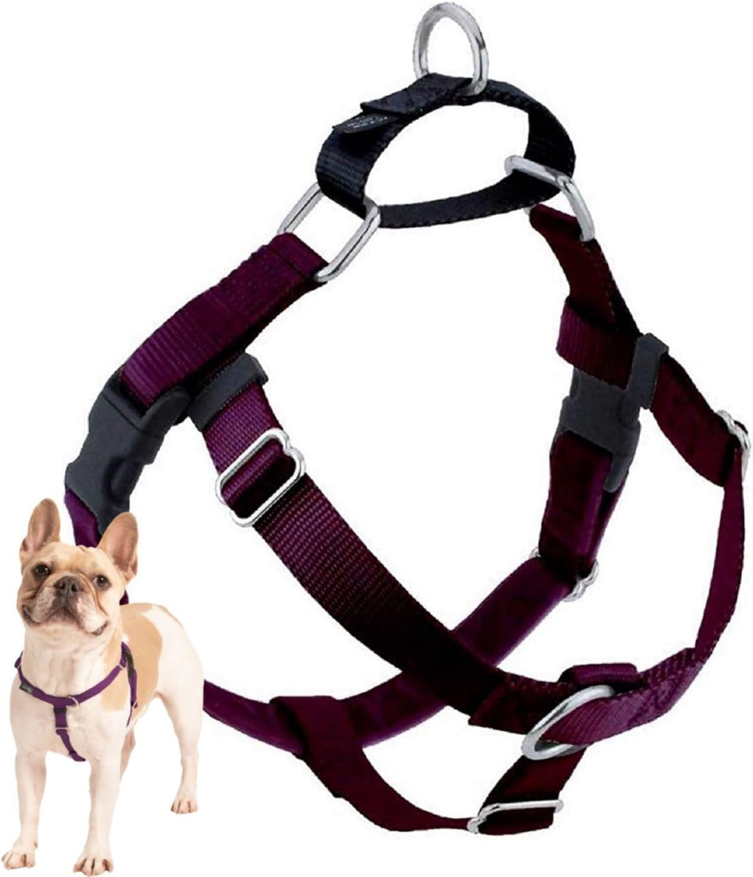 2 Hounds Design Freedom No Pull Dog Harness, 1 inch LG