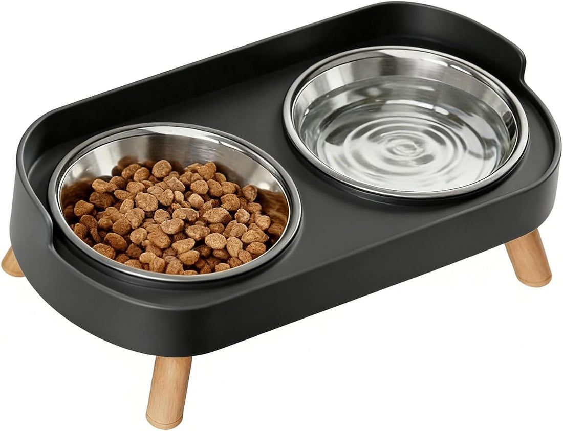 Elevated Cat Bowls, 2 Stainless Steel Raised Cat Food and Water Bowl