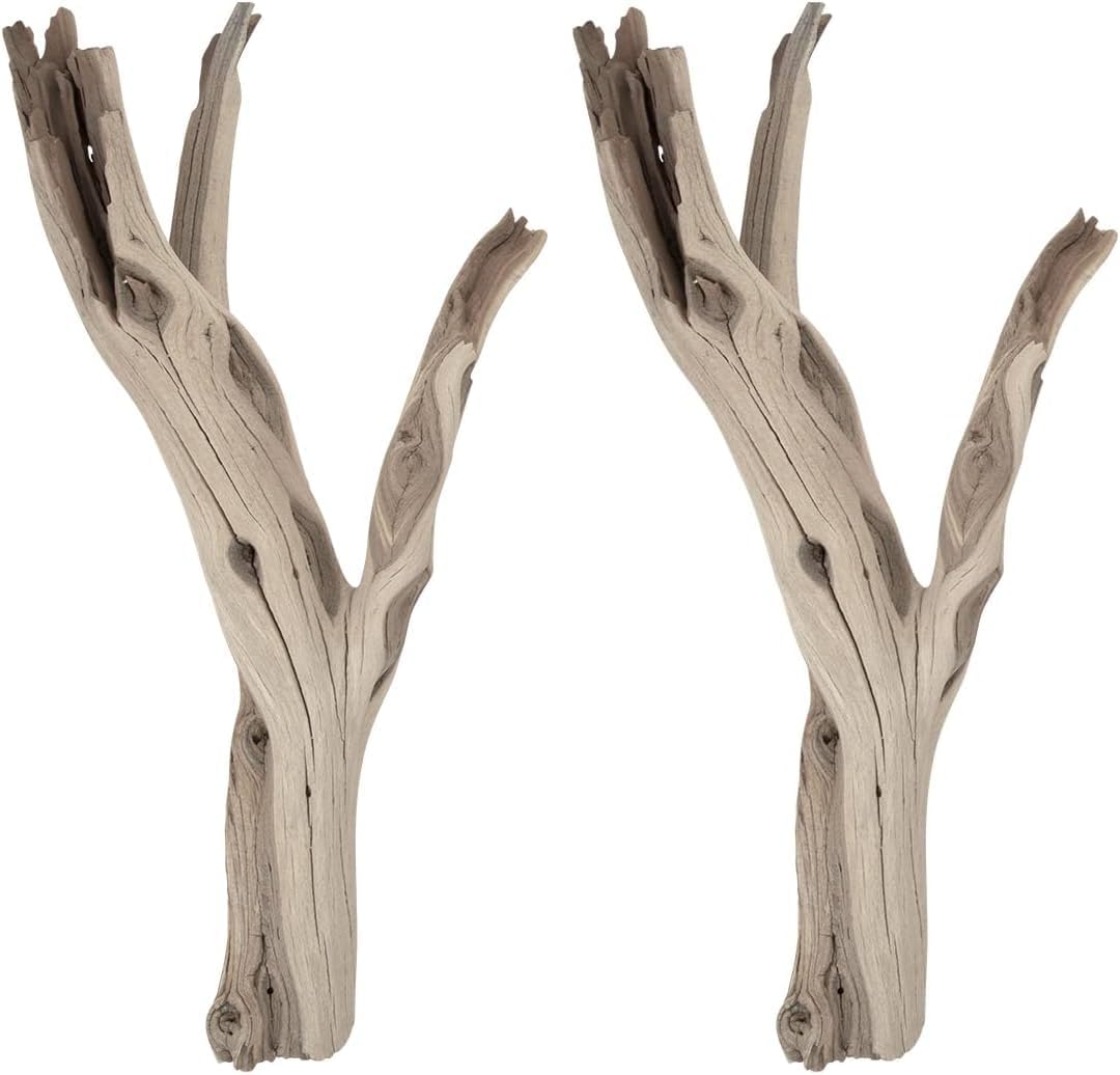 Koyal Wholesale 12” Driftwood Terrarium Decor