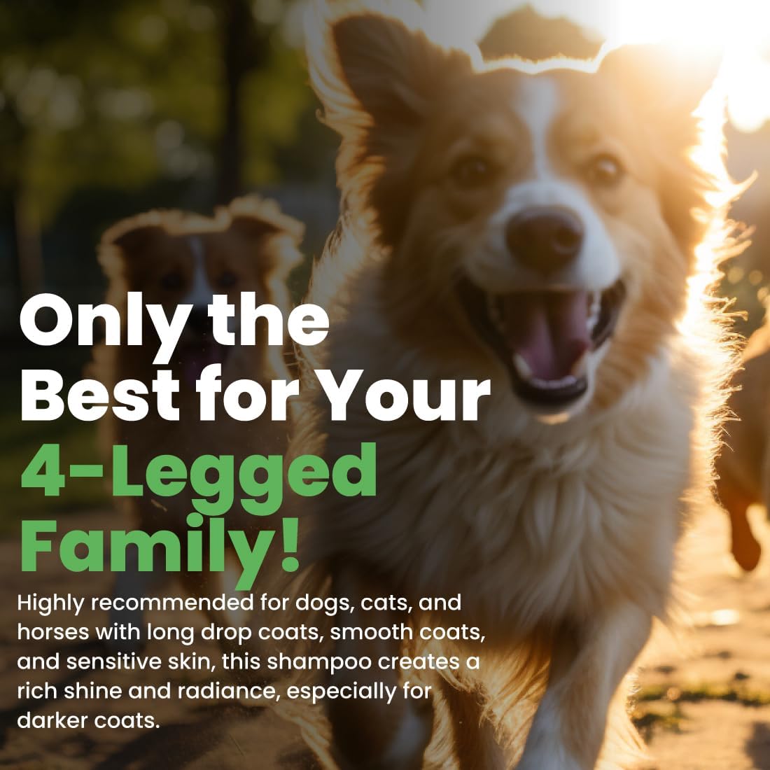 Best Shot Lemon-Aid Oatmeal Wash, Pet Shampoo for Dogs, Cats