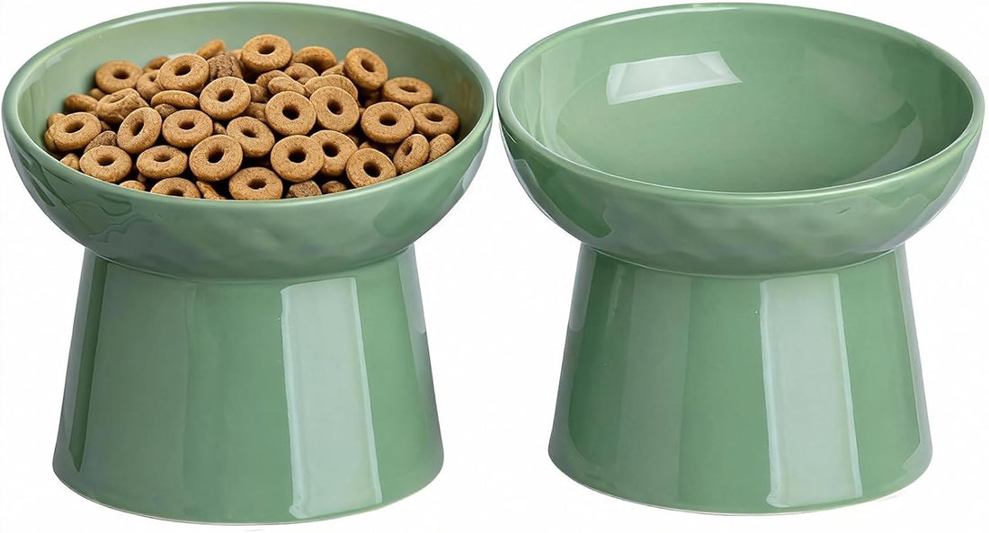 YauYik Raised Cat Bowl, Elevated Cat Food Bowls with Tilted Angle