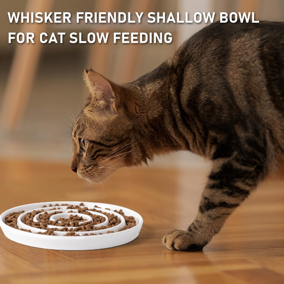 Ceramic Cat Slow Feeder,Shallow and Wide Opening Dish for Whisker