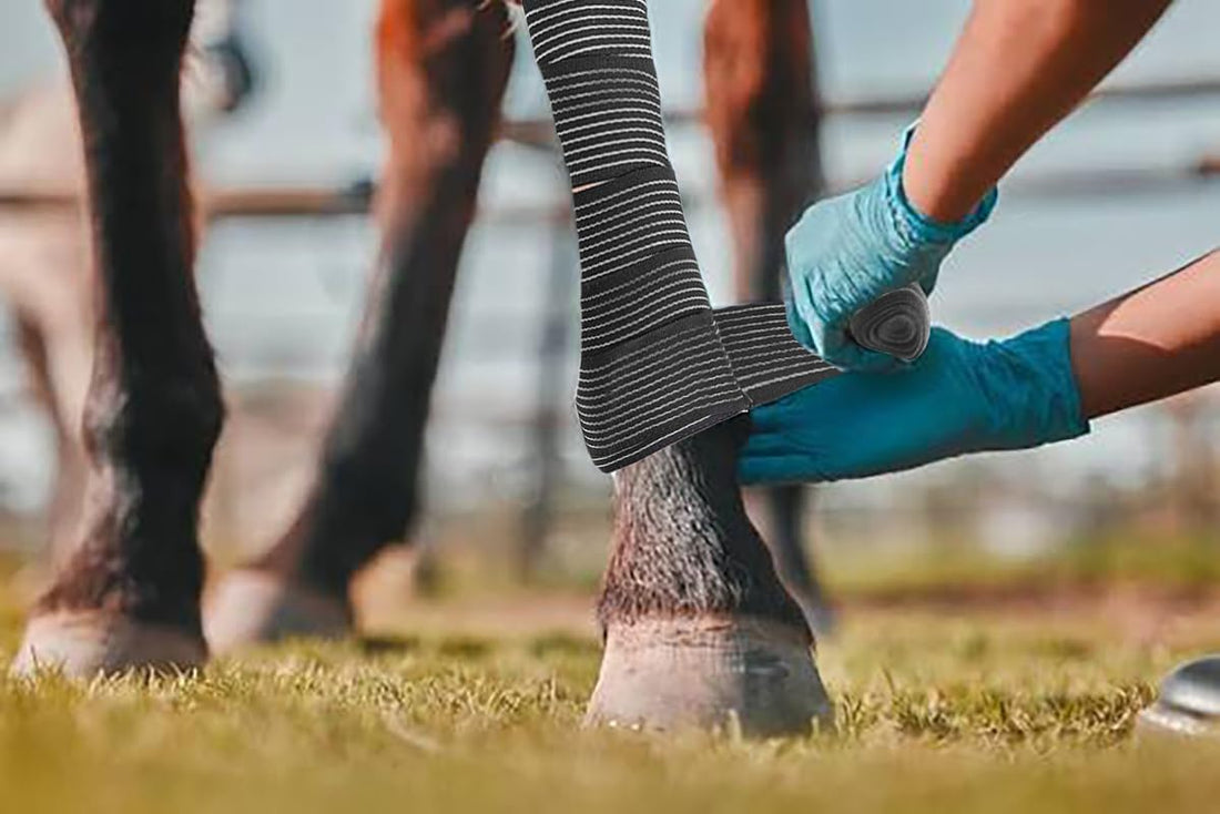 Elastic Compression Bandage Wrap for Horses