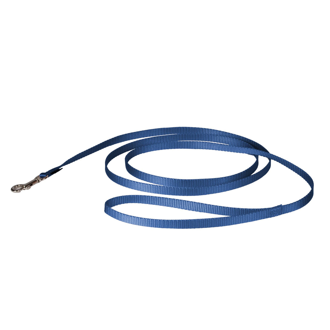 PetSafe Nylon Traditional Dog Leash with Bolt Snap