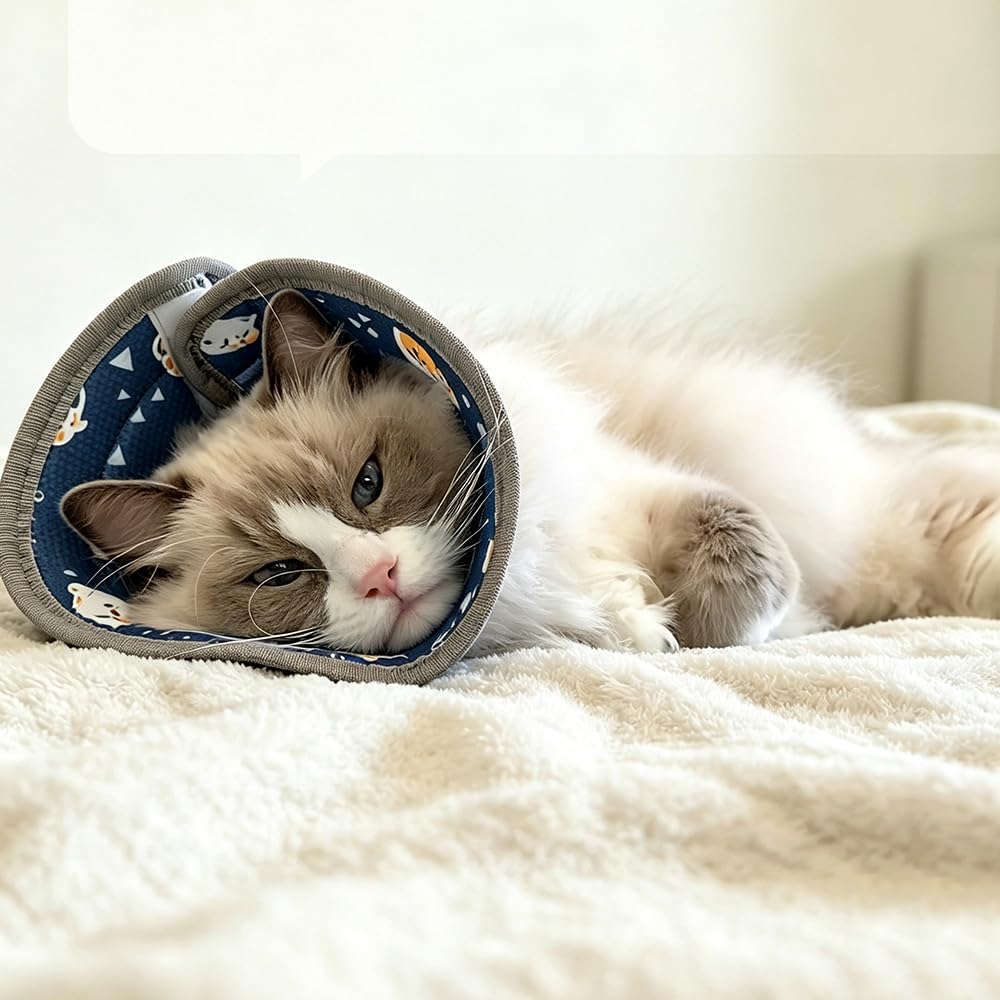 Soft Cat Cone, Elizabethan Cone for Cats, Adjustable, Foldable