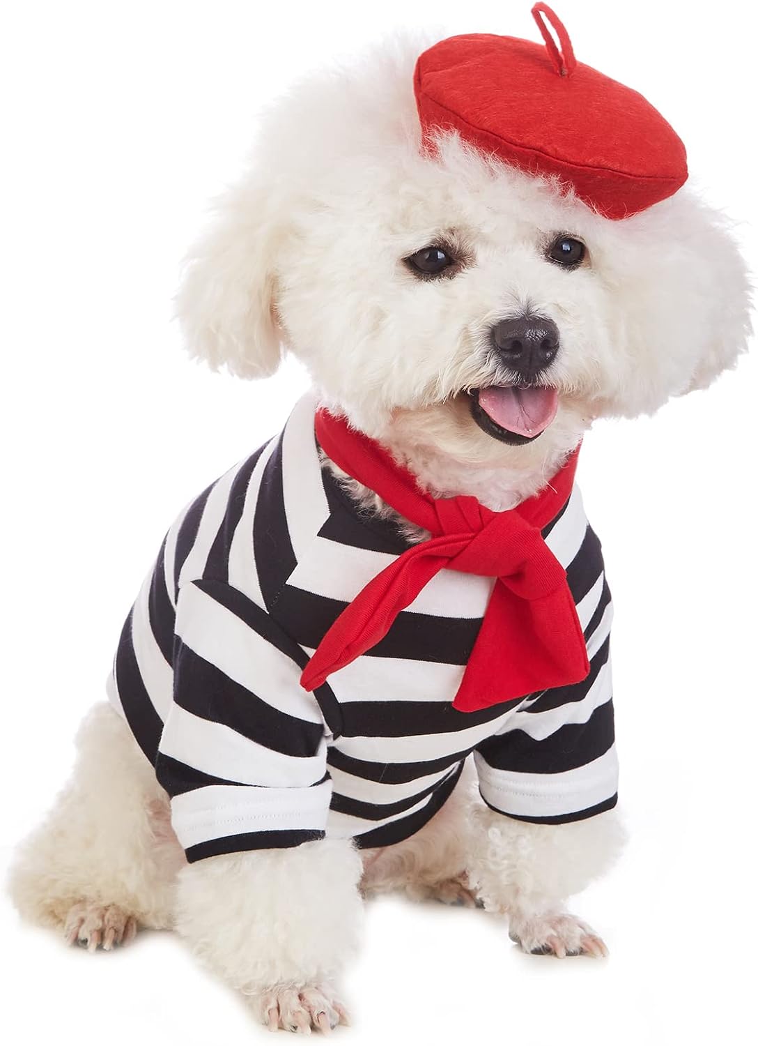 Artist Dog Costume with Funny Hat Painter Pet Clothes for Small Dog