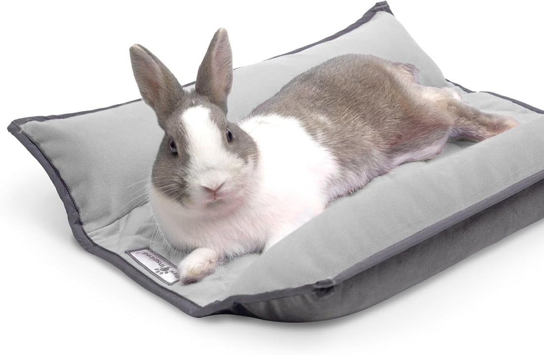 Paw Inspired Snuggle Bunny Bolster Bed, Gray/Beige, 17x17 Inch