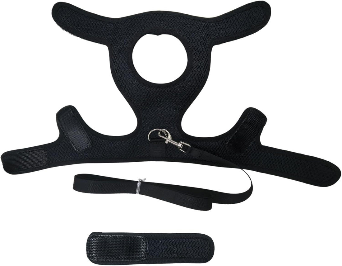 Adjustable Chicken Harness and Leash Set