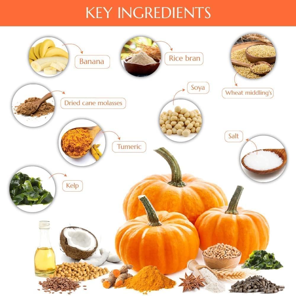 Kelcies Pumpkin Spice Horses Treats - Low Sugar, Starch