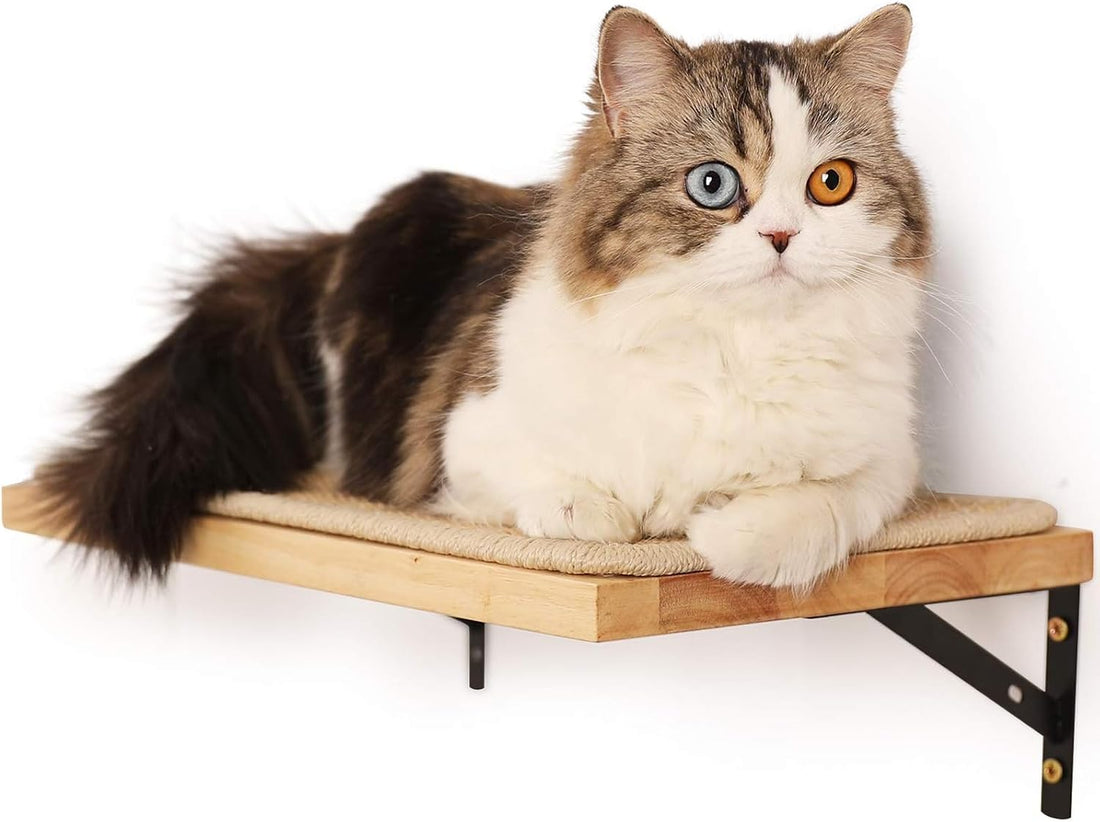 FUKUMARU Cat Wall Shelves, 17 x 10 Inch, Soft Cushion