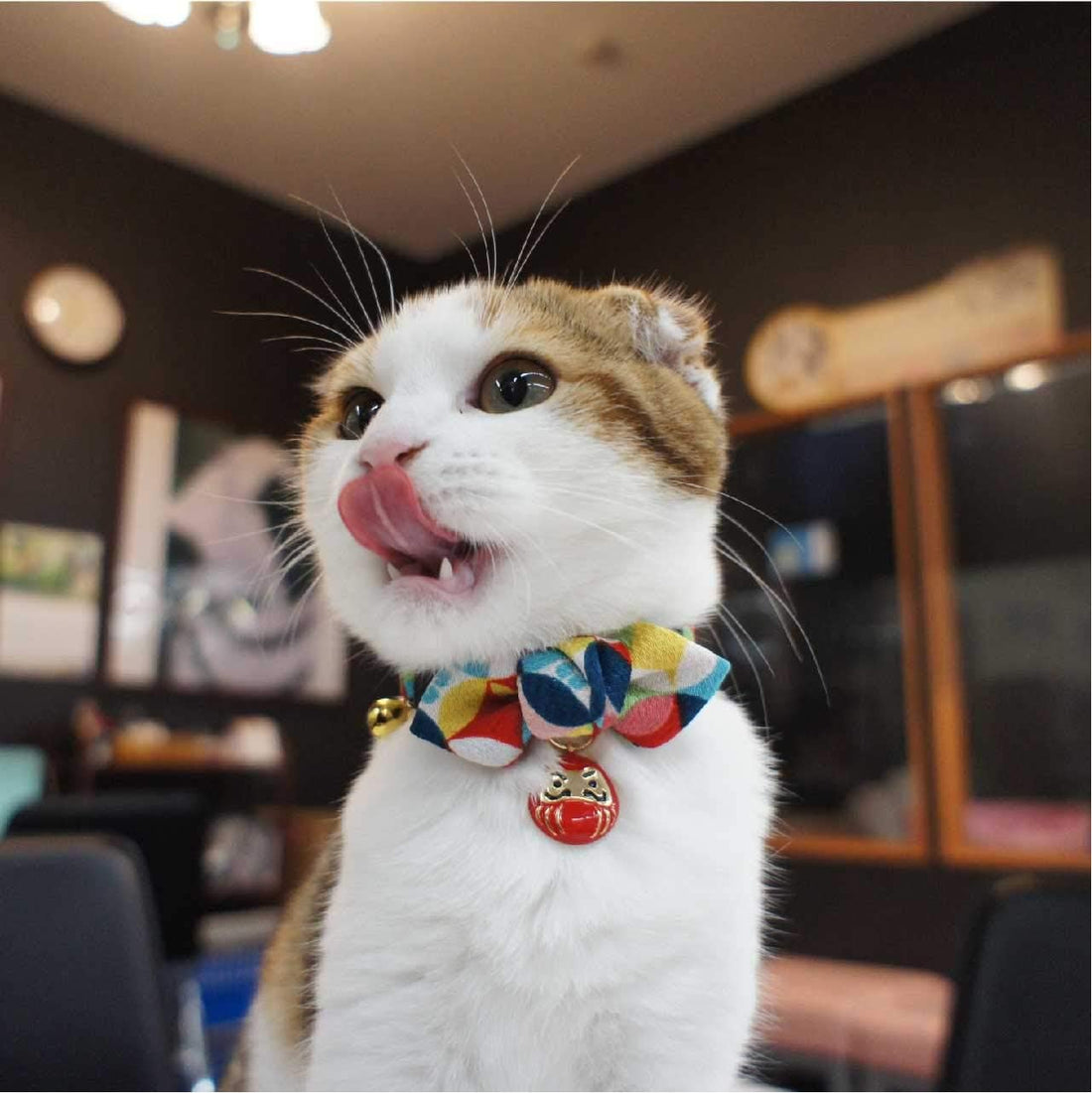 Necoichi Daruma Charm Bow Tie Cat Collar (Red)