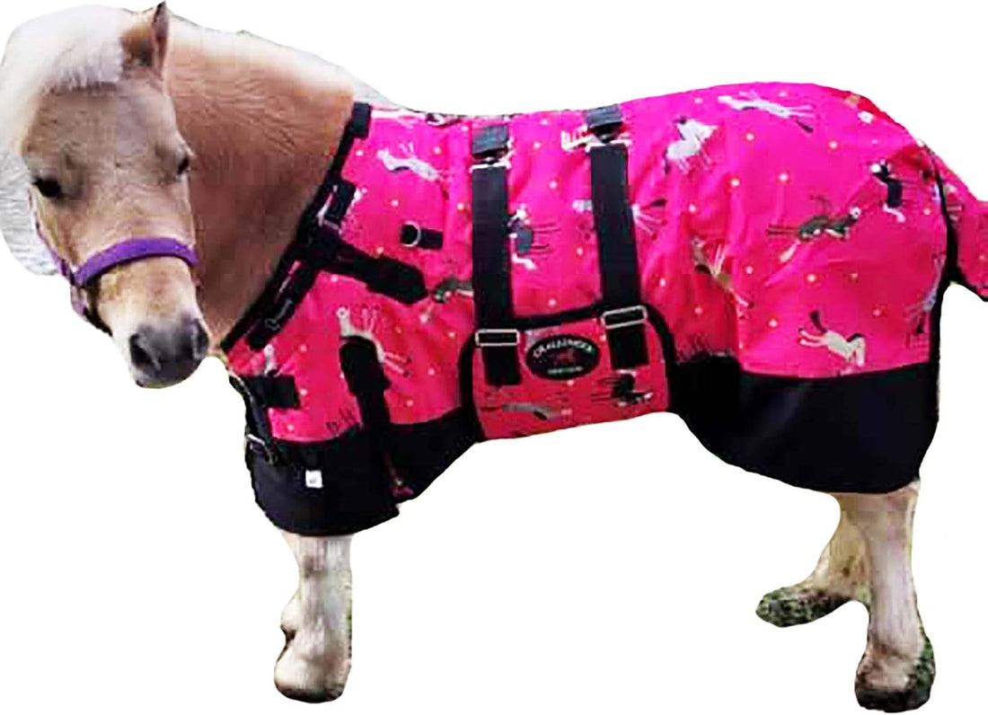 CHALLENGER 1200D Miniature Weanling Donkey Pony Horse Foal Winter
