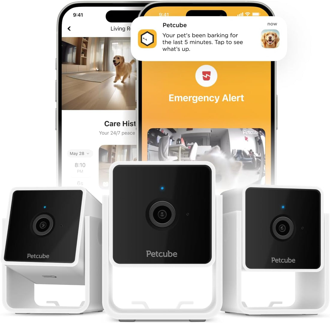 Petcube GPS Tracker for Dogs – Real-Time GPS Tracking & Escape Alerts