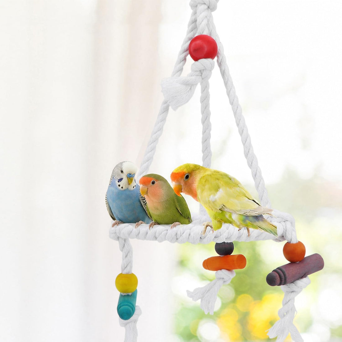 Hypeety Bird Swing Multi Birds Cotton Rope Round Hanging Hammock