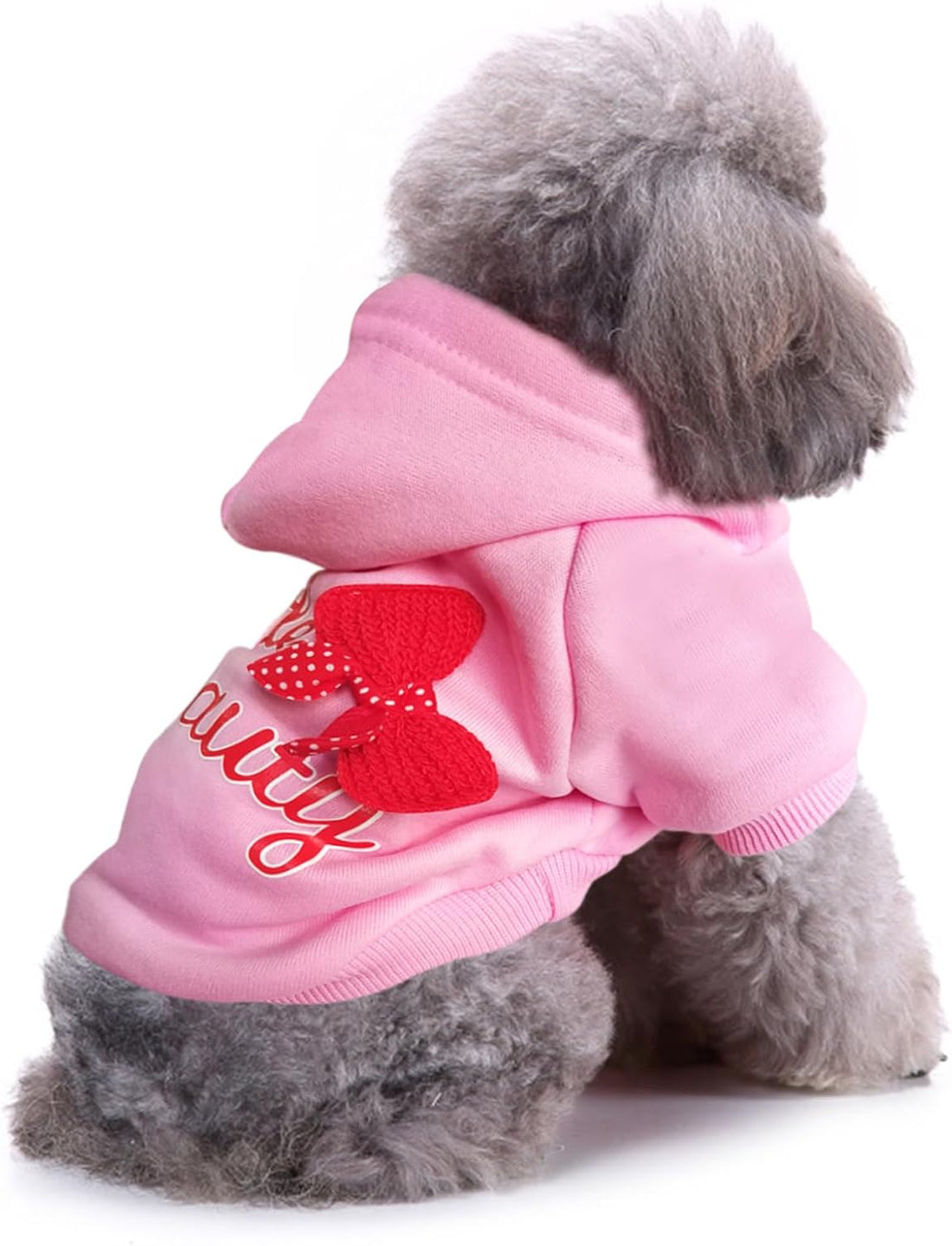 Print Dog Hoodies for Small Dogs