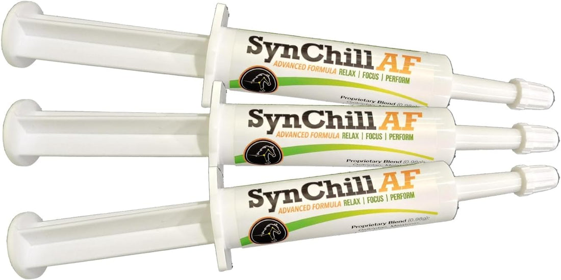 SynNutra Equine SynChill AF Horse Calming Supplement Gel, 3 Pack