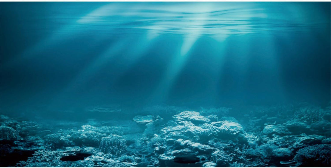 24x16 in Undersea Aquarium Backdrop Underwater World Fish Tank