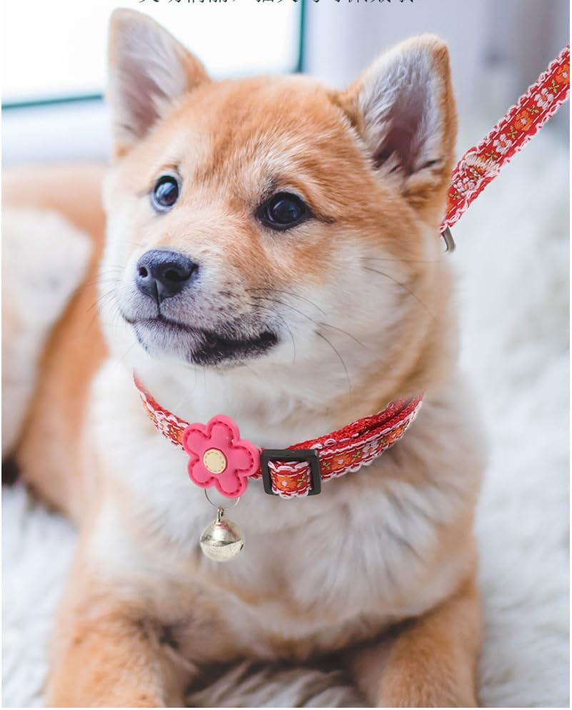 Pink XXS Dog Collar with Bell Set