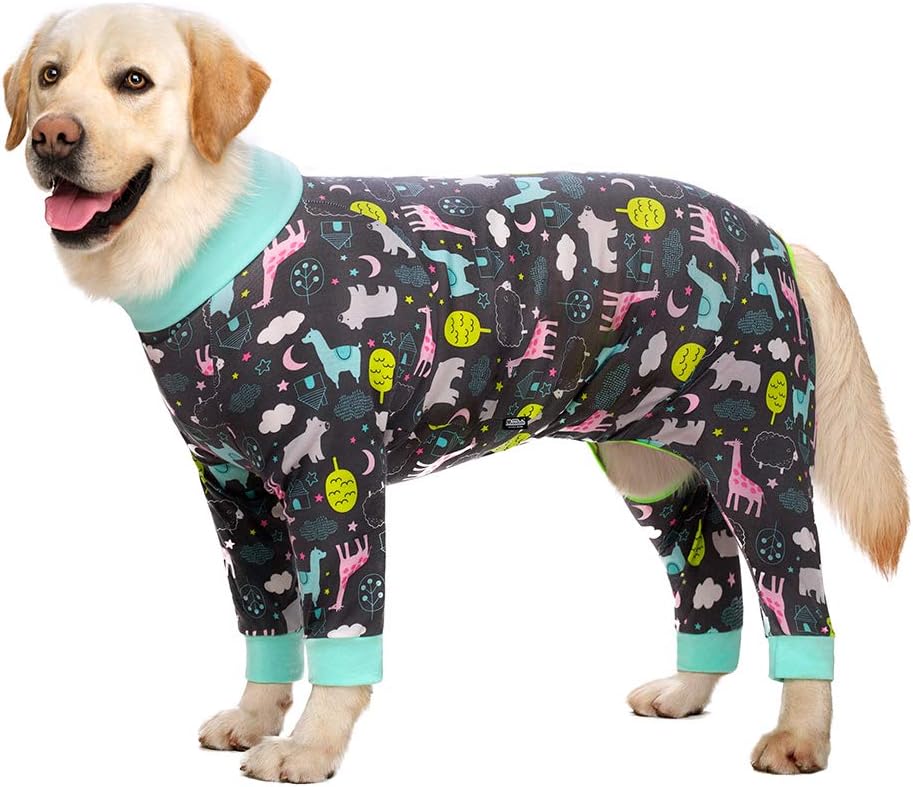 Dog Surgery Recovery Suit Female Male for Dogs After Surgery Medium