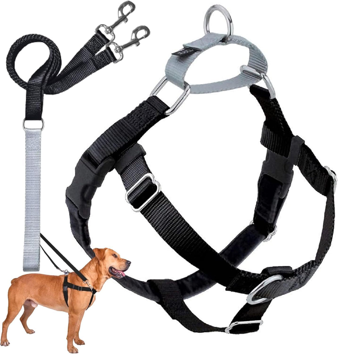 2 Hounds Design Freedom No Pull Dog Harness and Leash, 1" LG, Black