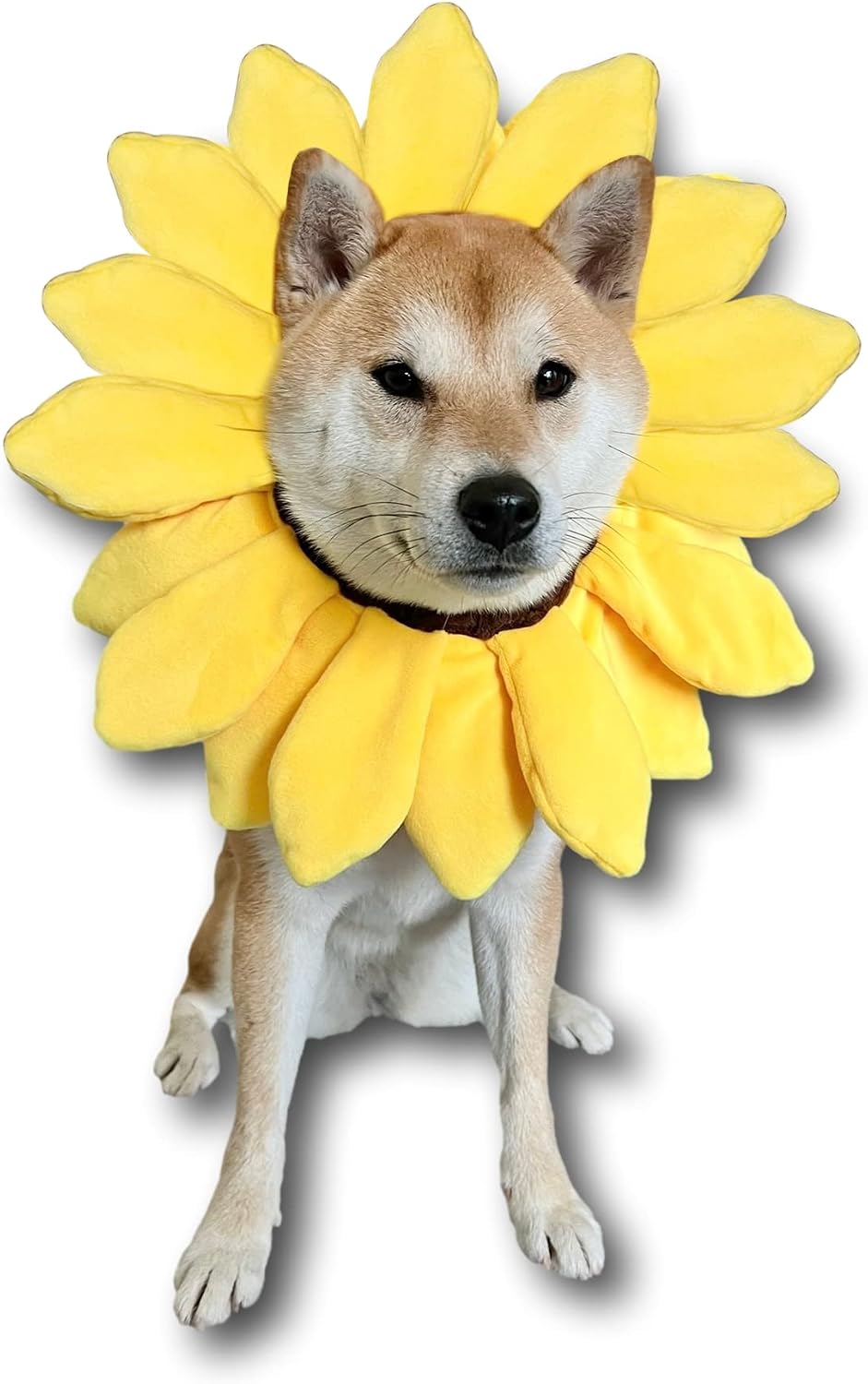 ComfyCamper Sunflower Dog Costume for Small Medium Large Dog Puppy