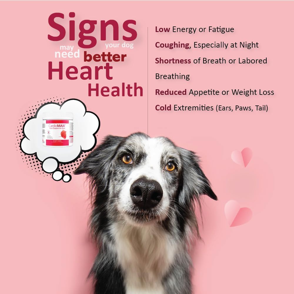 Heart Support Supplement for Dogs-Vet-Formulated